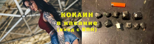 шишки Касимов
