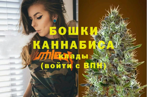 шишки Касимов