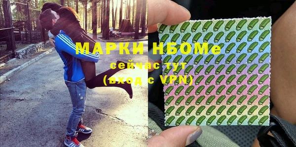 шишки Касимов