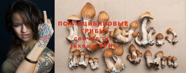 шишки Касимов
