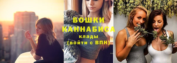 шишки Касимов