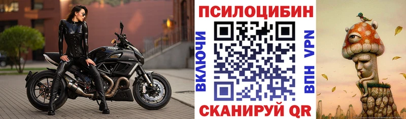 Псилоцибиновые грибы Psilocybine cubensis  Купить  Калачинск 